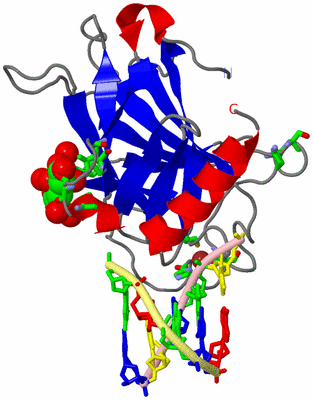 Image Asym. Unit - sites