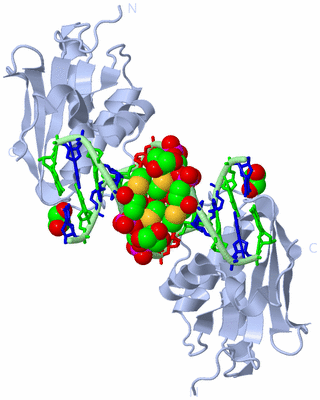 Image Biological Unit 1