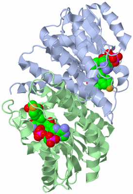 Image Biological Unit 1