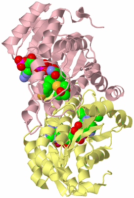 Image Biological Unit 2