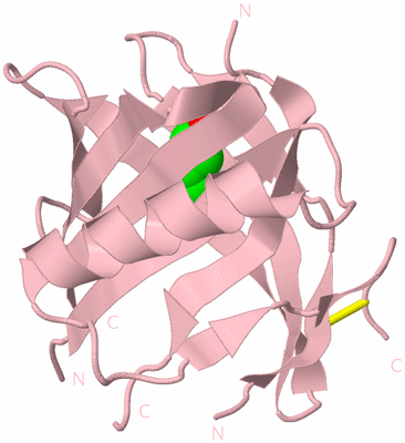 Image Biological Unit 3