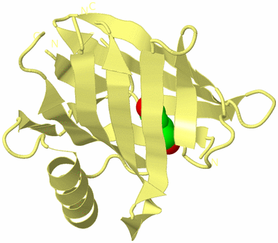 Image Biological Unit 4