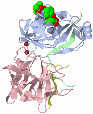 Image Biological Unit 3