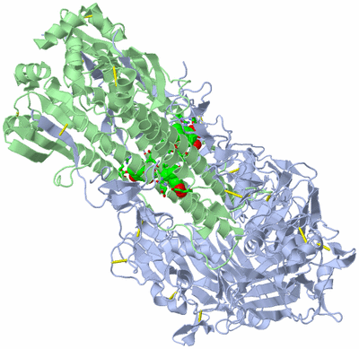 Image Biol. Unit 1 - sites