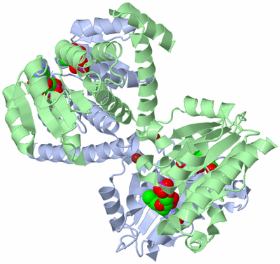 Image Asym./Biol. Unit