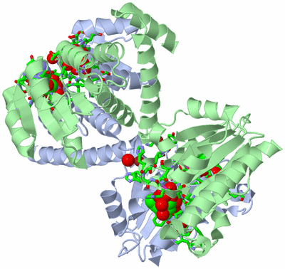 Image Asym./Biol. Unit - sites