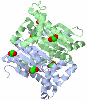 Image Asym./Biol. Unit