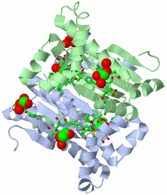 Image Asym./Biol. Unit - sites