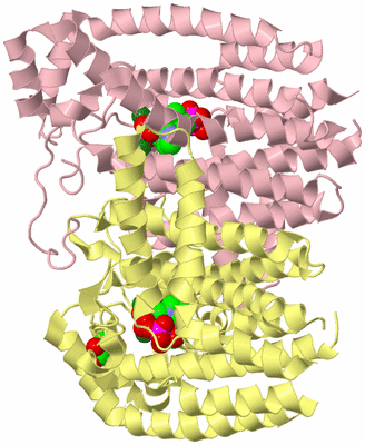 Image Biological Unit 2