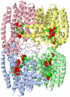 Image Asym. Unit - sites