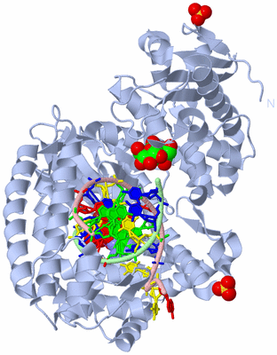 Image Biological Unit 1