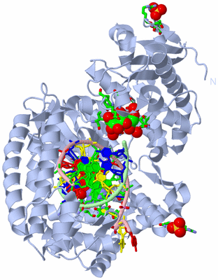 Image Biol. Unit 1 - sites