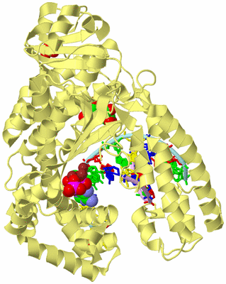 Image Biological Unit 2