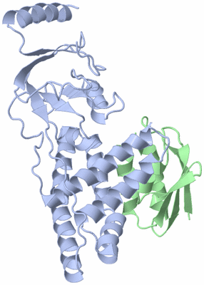 Image NMR Structure - all models