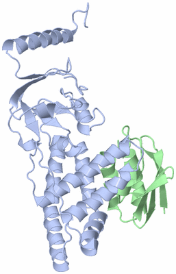 Image NMR Structure - model 1