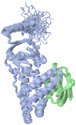 Image NMR Structure - all models