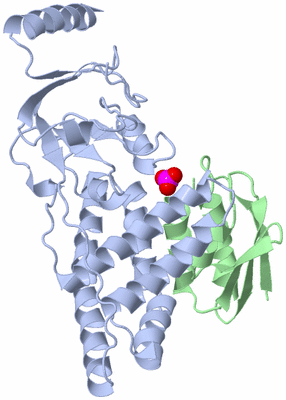 Image NMR Structure - model 1