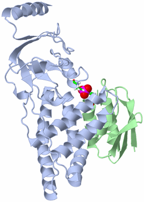 Image NMR Structure - model 1, sites