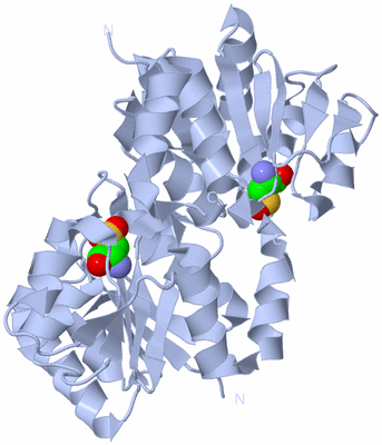 Image Biological Unit 1