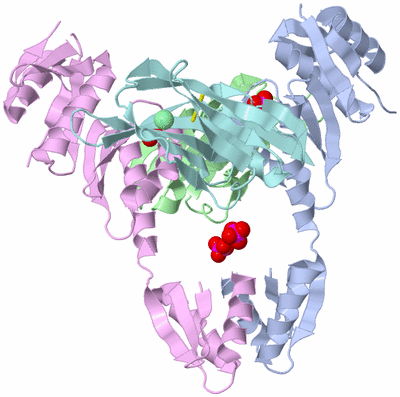 Image Biological Unit 1