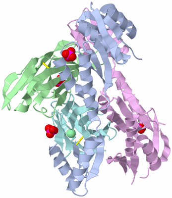 Image Biological Unit 2