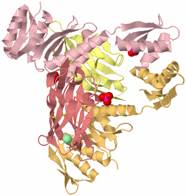 Image Biological Unit 3