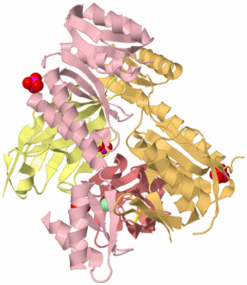 Image Biological Unit 4