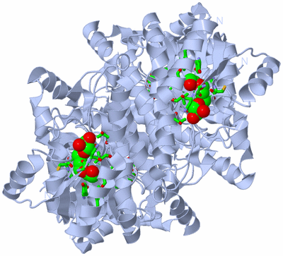 Image Biol. Unit 1 - sites