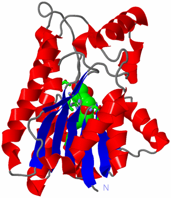 Image Asym. Unit - sites