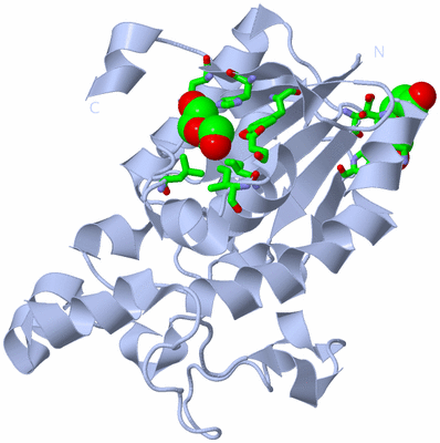 Image Biol. Unit 1 - sites