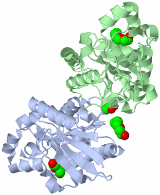 Image Biological Unit 3