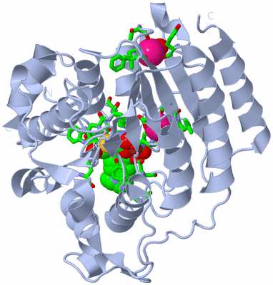 Image Biol. Unit 1 - sites