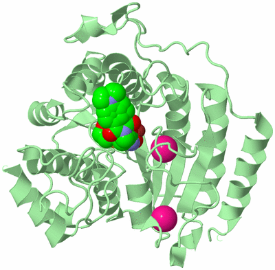 Image Biological Unit 2