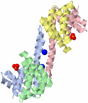 Image Biological Unit 1