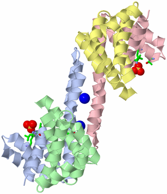 Image Biol. Unit 1 - sites