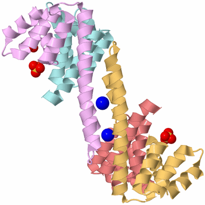 Image Biological Unit 2