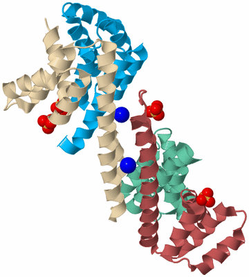 Image Biological Unit 3