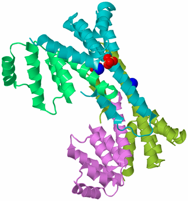 Image Biological Unit 4