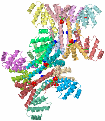 Image Asym. Unit - sites