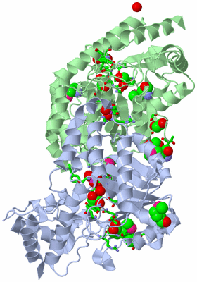 Image Asym./Biol. Unit - sites