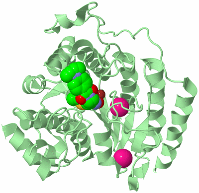 Image Biological Unit 2