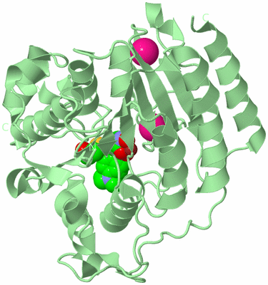 Image Biological Unit 2