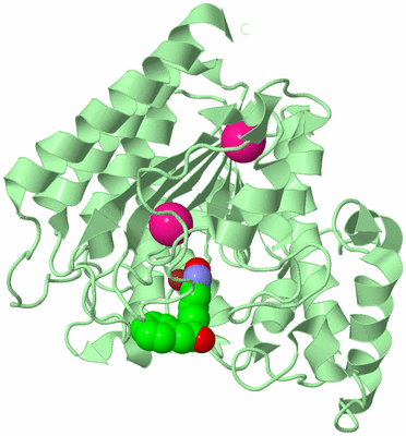 Image Biological Unit 2