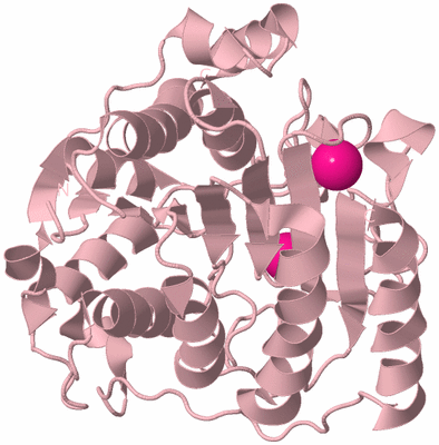 Image Biological Unit 3