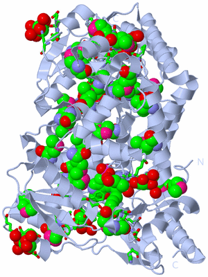 Image Biol. Unit 1 - sites