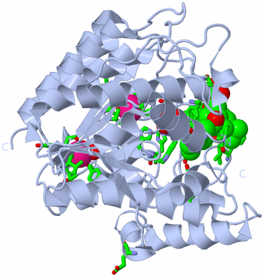 Image Biol. Unit 1 - sites