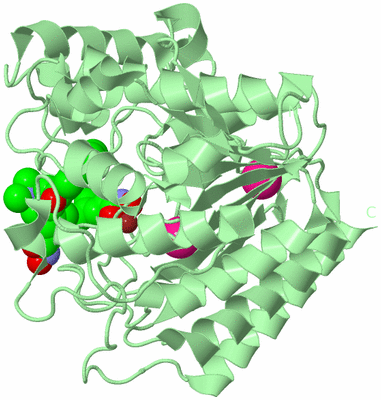 Image Biological Unit 2