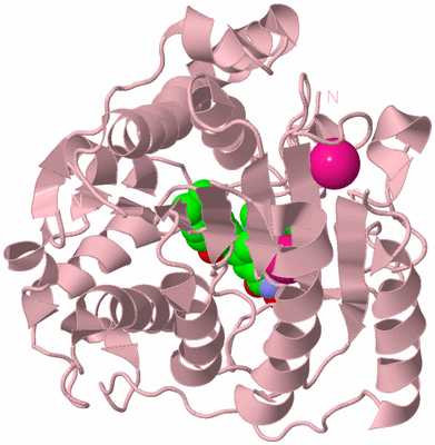 Image Biological Unit 3