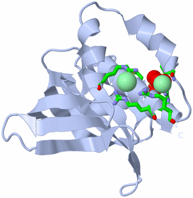 Image Biol. Unit 1 - sites