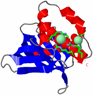 Image Asym. Unit - sites